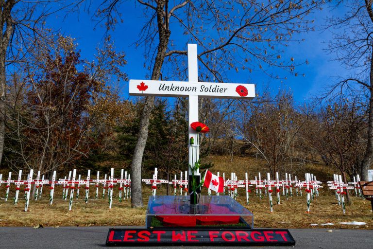 About Us Field Of Crosses   IMG 0442e 768x512 